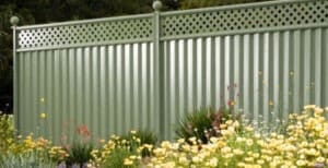 Light green Colorbond fence with lattice top surrounded by a vibrant garden in Canberra