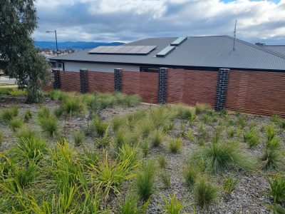 Slatting Spotted Gum Sideview